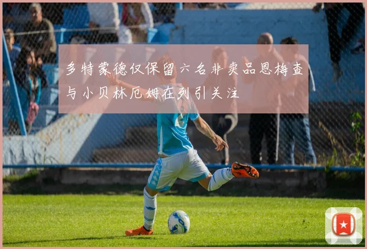 多特蒙德仅保留六名非卖品恩梅查与小贝林厄姆在列引关注